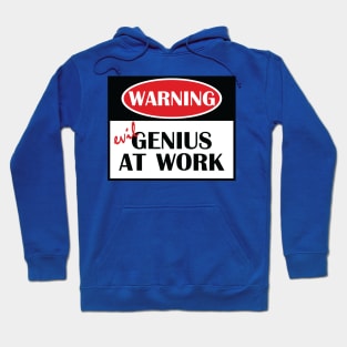 Evil Genius At Work Hoodie